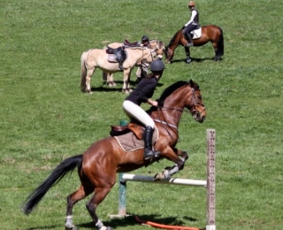  Passeios a cavalo em La Clusaz 